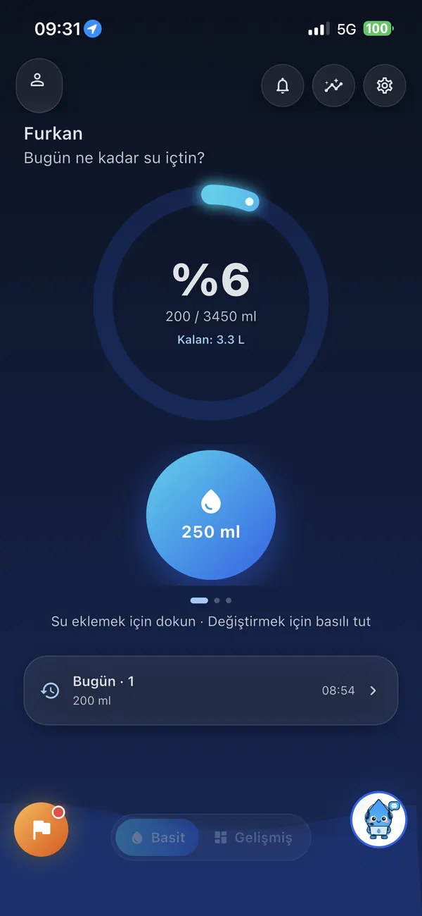 Basit Mod Ana Ekran